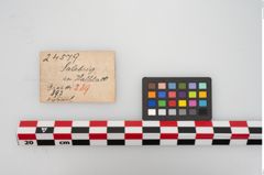 Etikett zu Bronzemehrkopfnadel (NHMW-PRAE-024579)